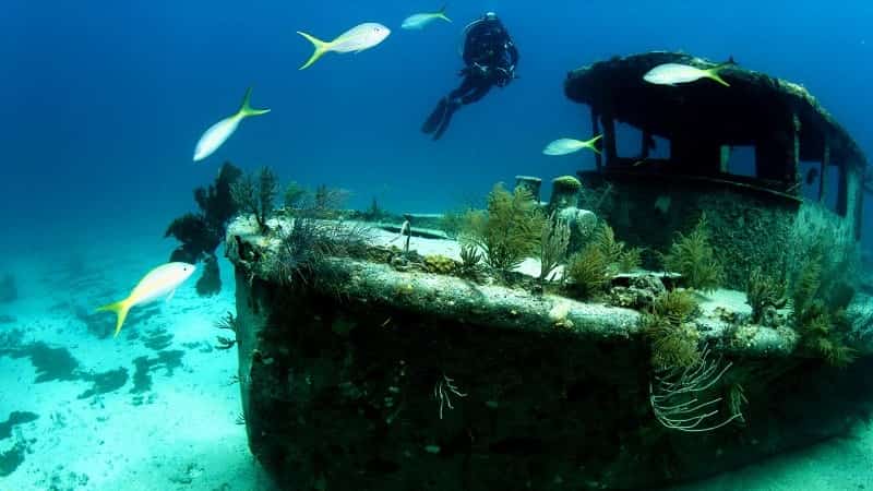 Дайвинг на Багамских островах