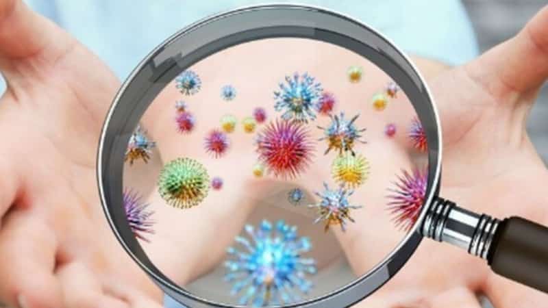 Cколько живёт коронавирус во внешней среде