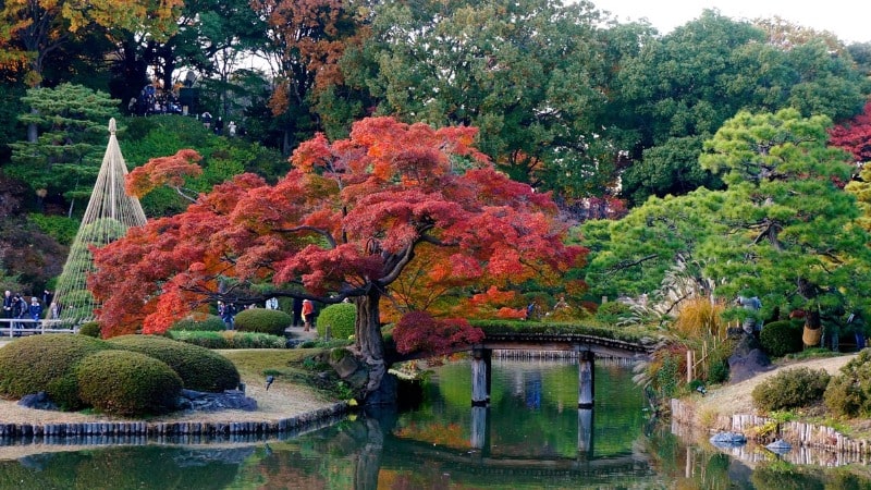 Сад Рикугиэн Токио